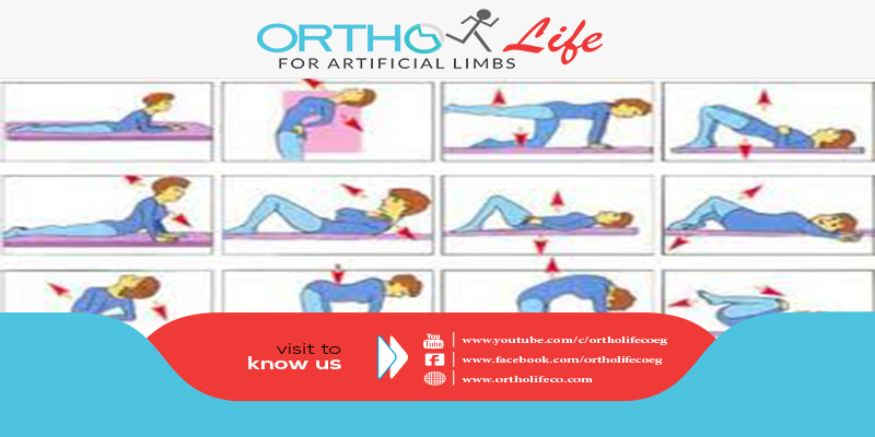 , تمارين أسفل الظهر والخصر, ORTHO LIFE