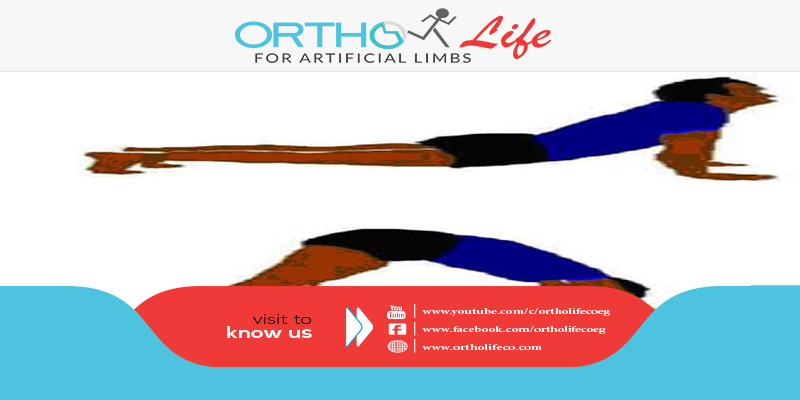 , تمارين الإطالة من وضع الجلوس للكاحل وجانب الفخذ وأسفل الظهر, ORTHO LIFE